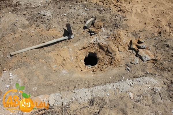 mdafenkazakhana512 (8).jpg.jpg